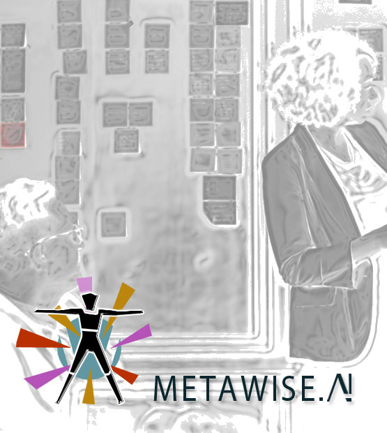 Metawise logo